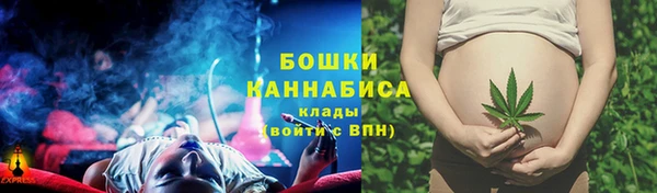 твердый Медвежьегорск