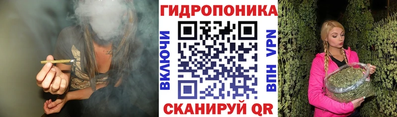 Бошки Шишки план  цены наркотик  кракен маркетплейс  Лодейное Поле 